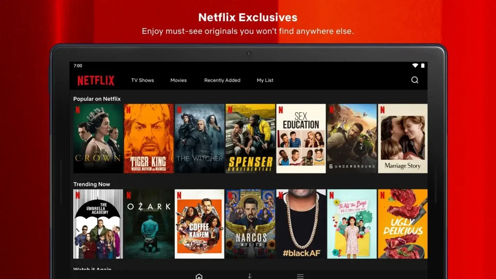 Netflix APK